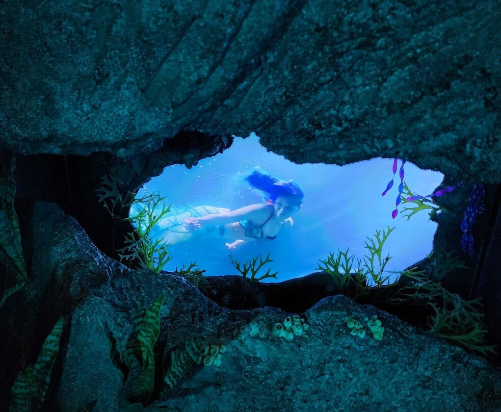 Professor Spindlewink's World Of Wizardry-塞勒姆必去景点