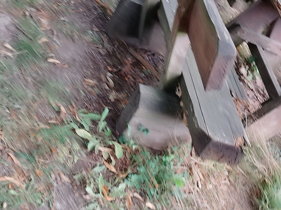 Draisine Rinteln-Rinteln必去景点