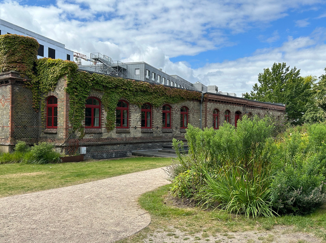 Alter Botanischer Garten-基尔必去景点