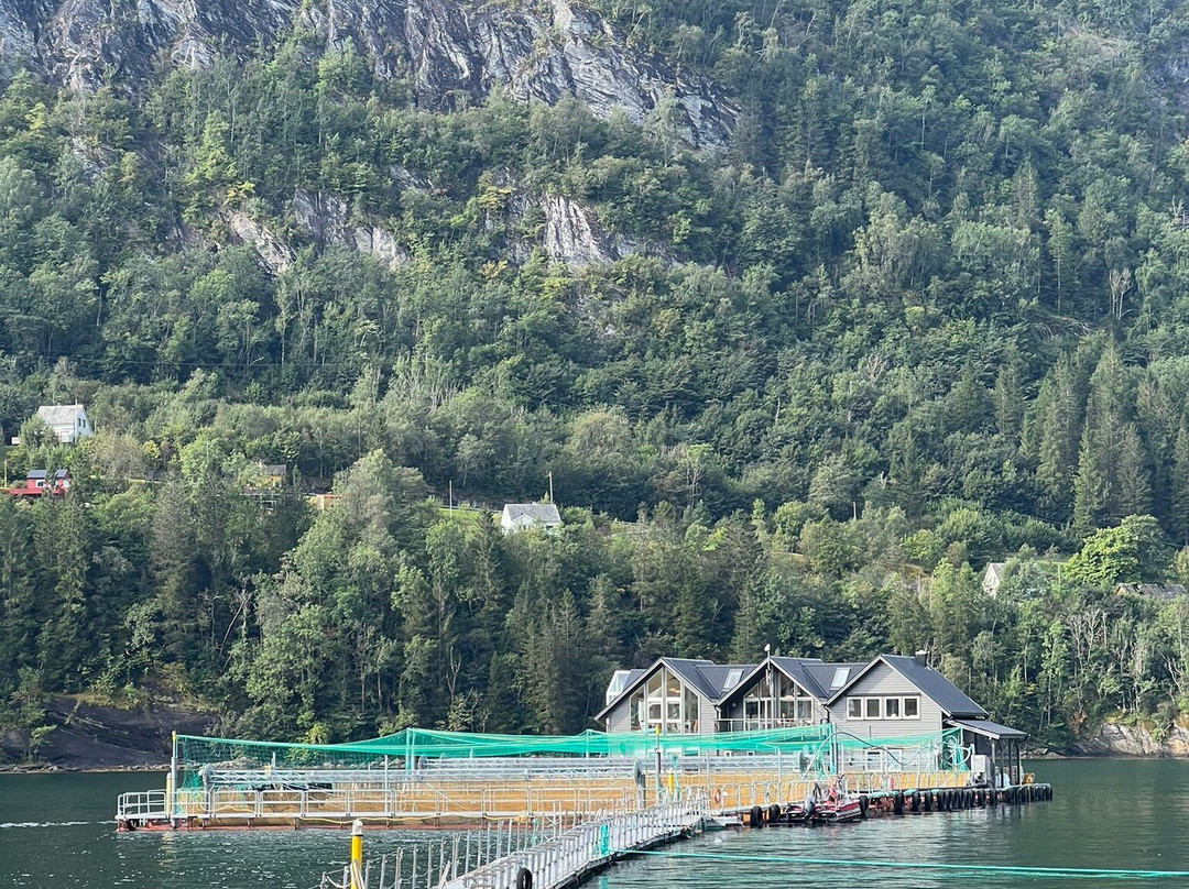 Hardanger Akvasenter-Steinsto必去景点