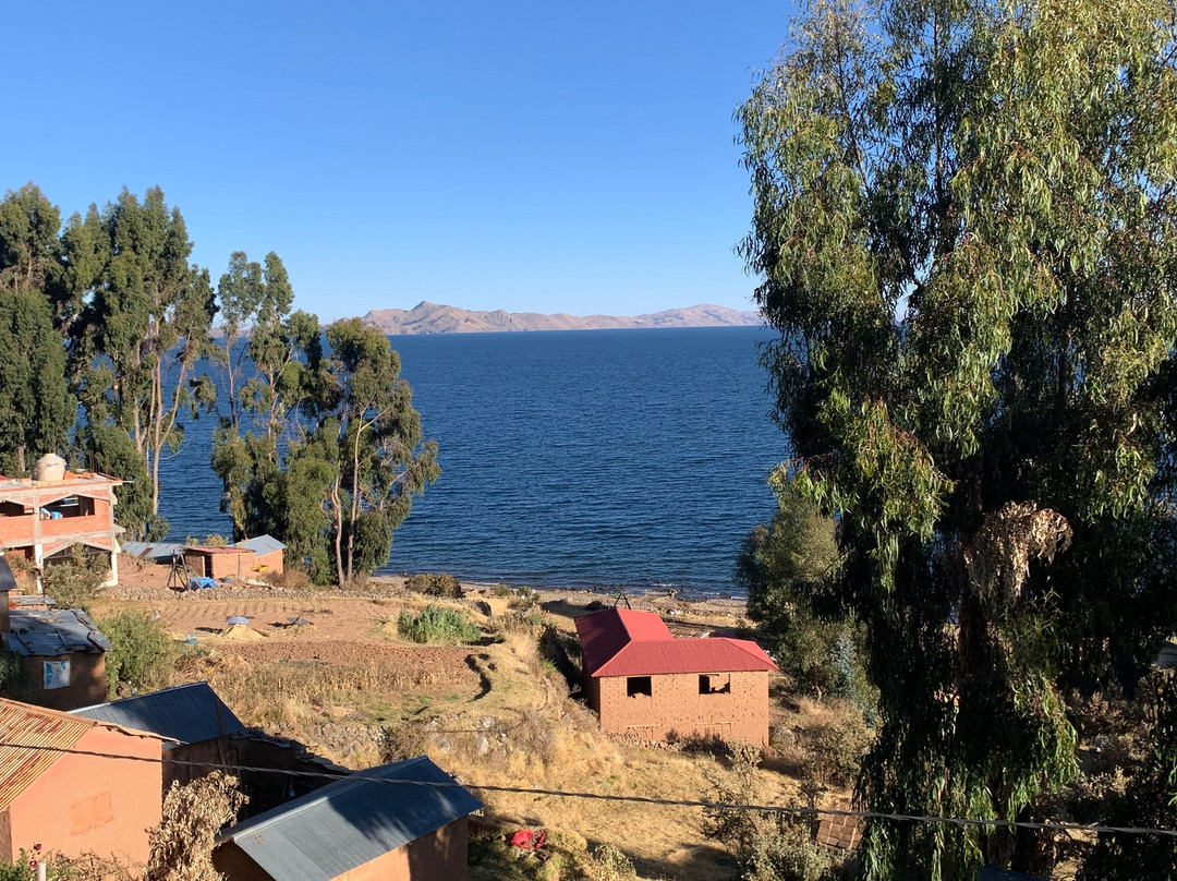 Tikawasi Homestay - Comunidad Pueblo - José Luis Calsin主图