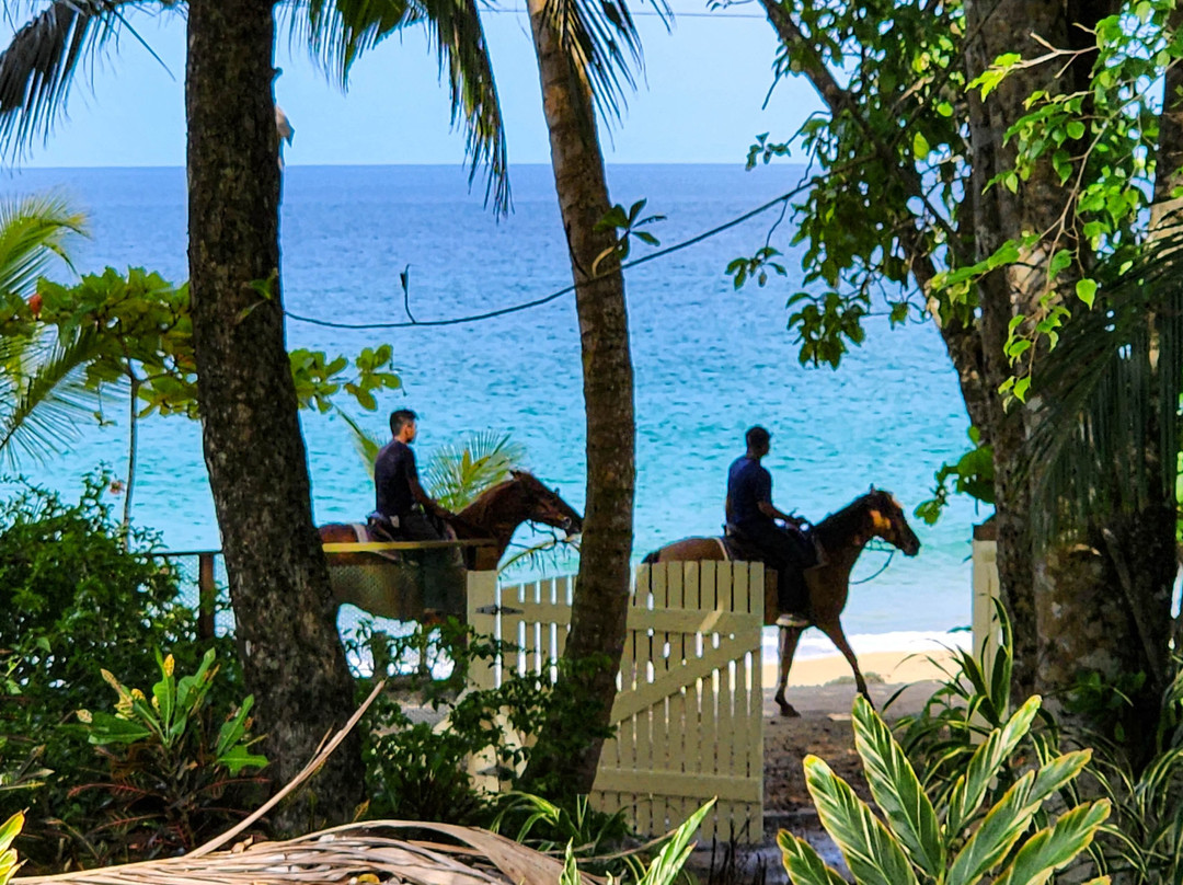 Bluff Beach Retreat主图