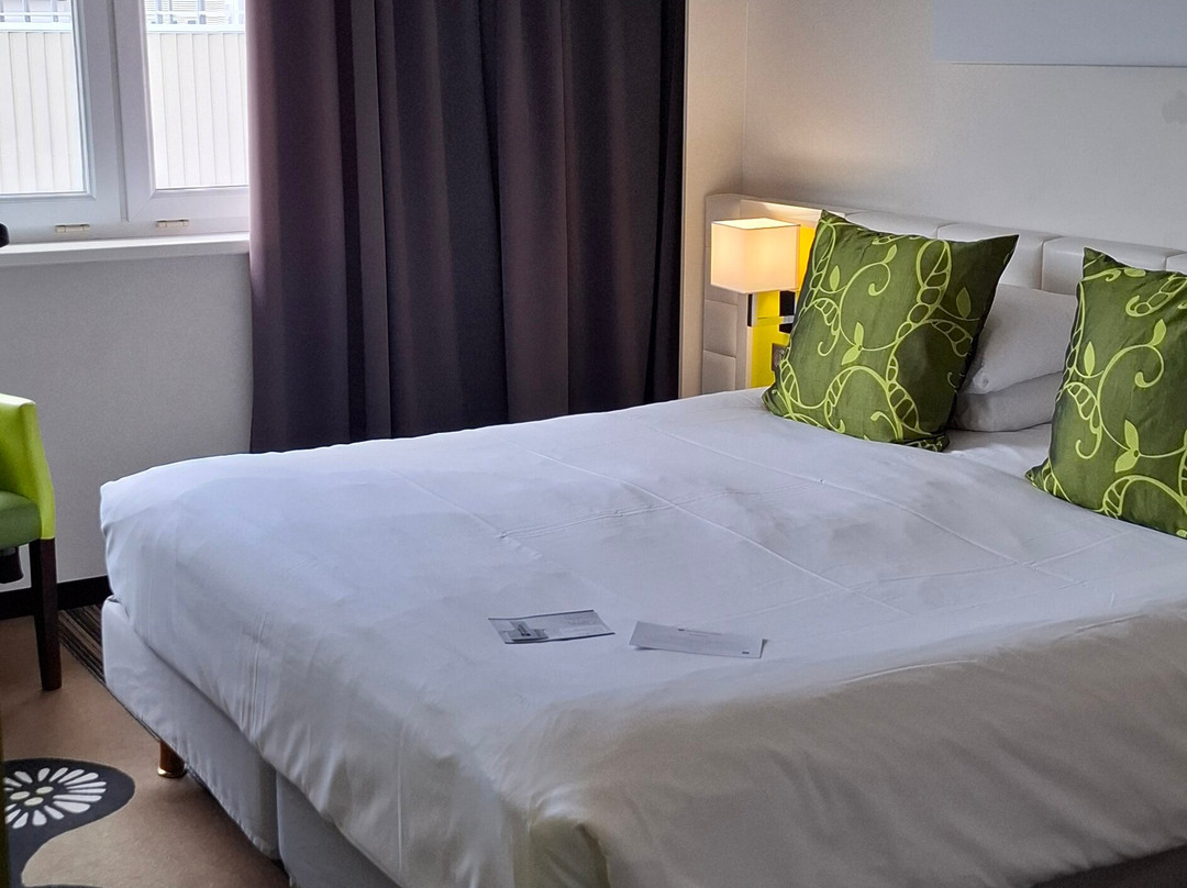 Best Western Plus Hôtel Le Rhénan主图