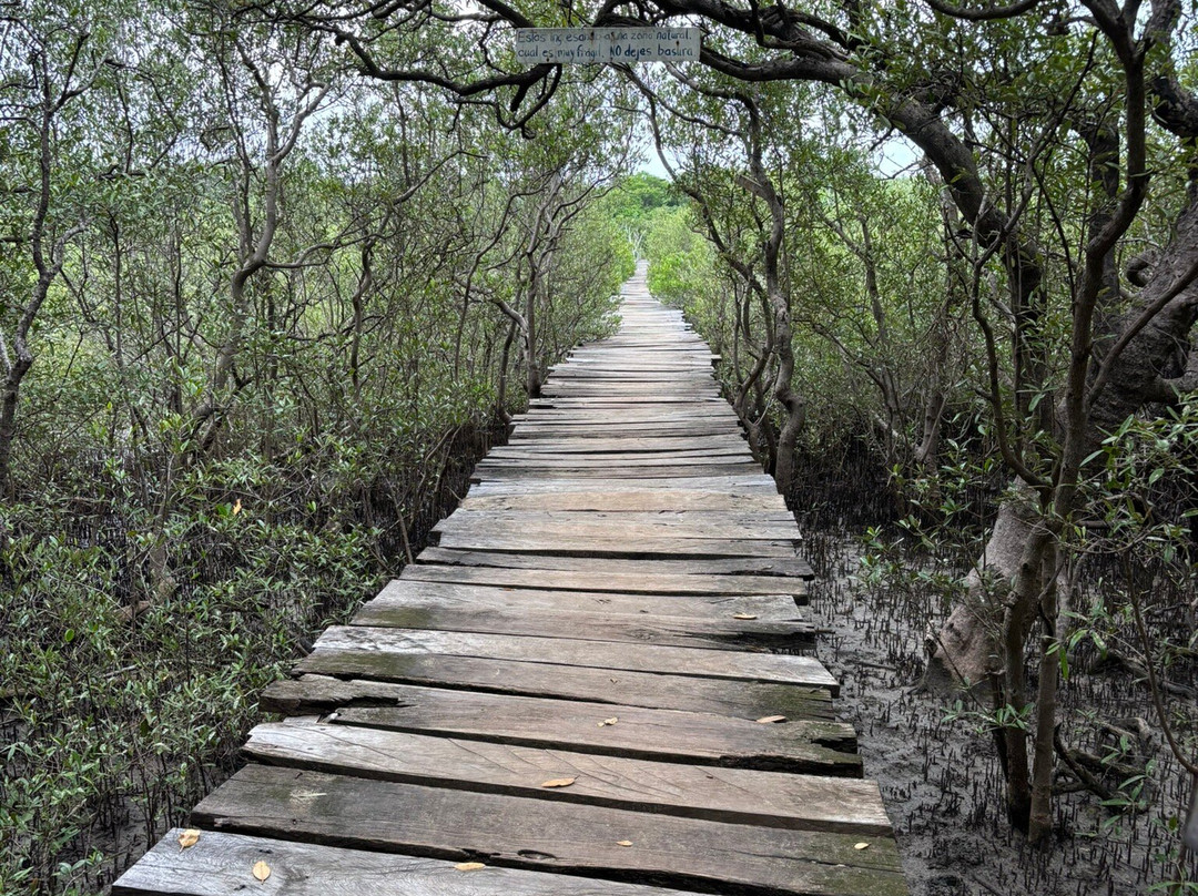 Cabinas Las Olas主图