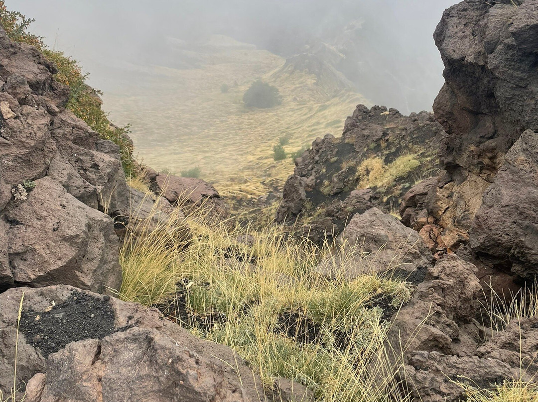 Dario Vaghi - Etna Excursion Naturalistic Guide-Viagrande必去景点
