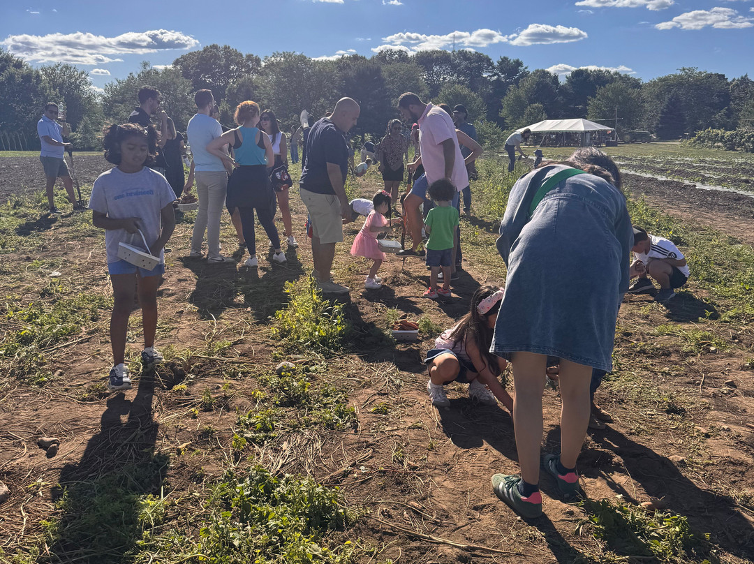 Ward's Berry Farm-Sharon必去景点