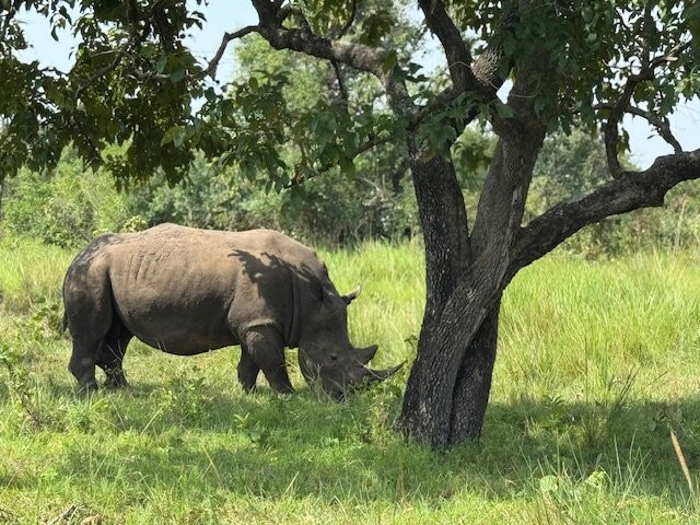 Terrace Uganda Safaris-卡巴莱必去景点