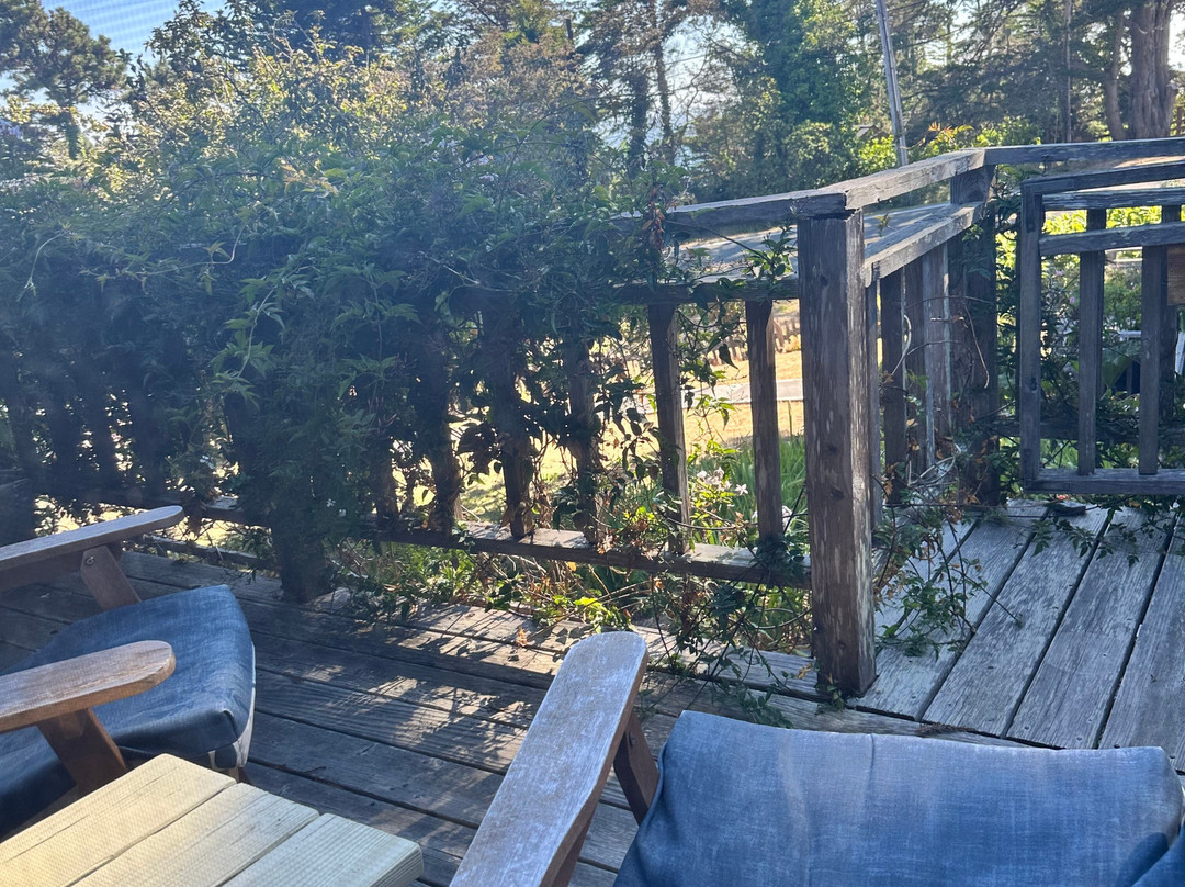 Rendezvous Mendocino主图