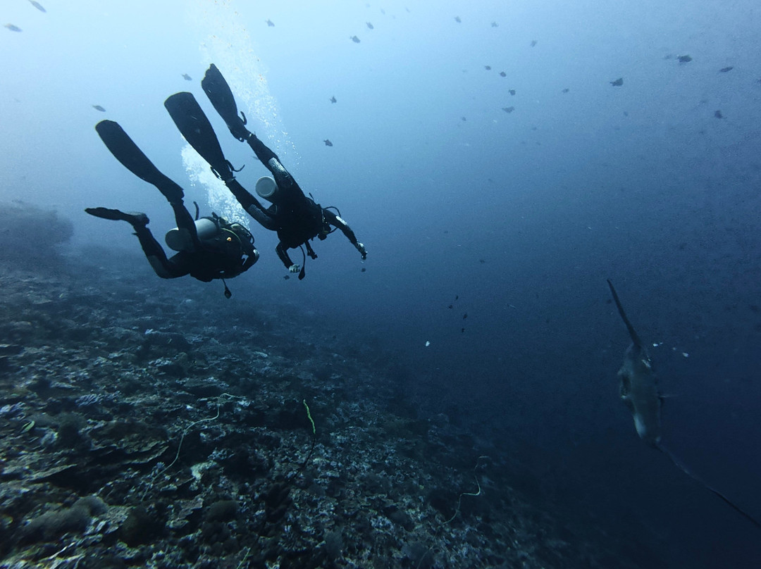 Dune Penida Dive Center-珀尼达岛必去景点