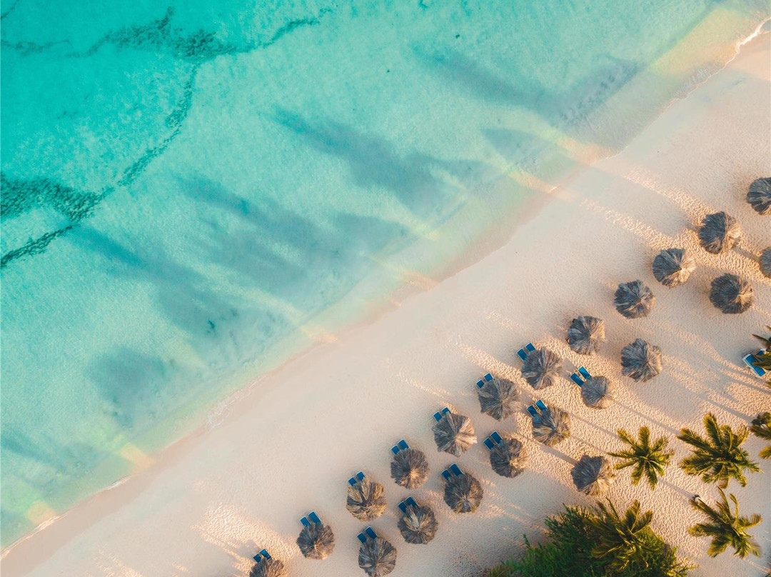 棕榈/鹰海滩酒店住宿-Amsterdam Manor Beach Resort