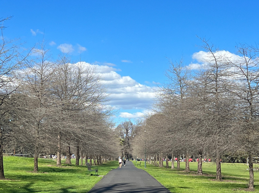 法克纳公园-South Yarra必去景点