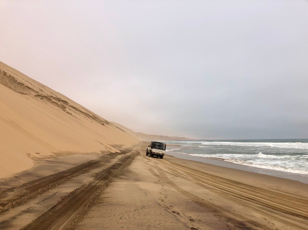 iVenture Sandwich Harbor Tours & Guides-华维斯湾必去景点