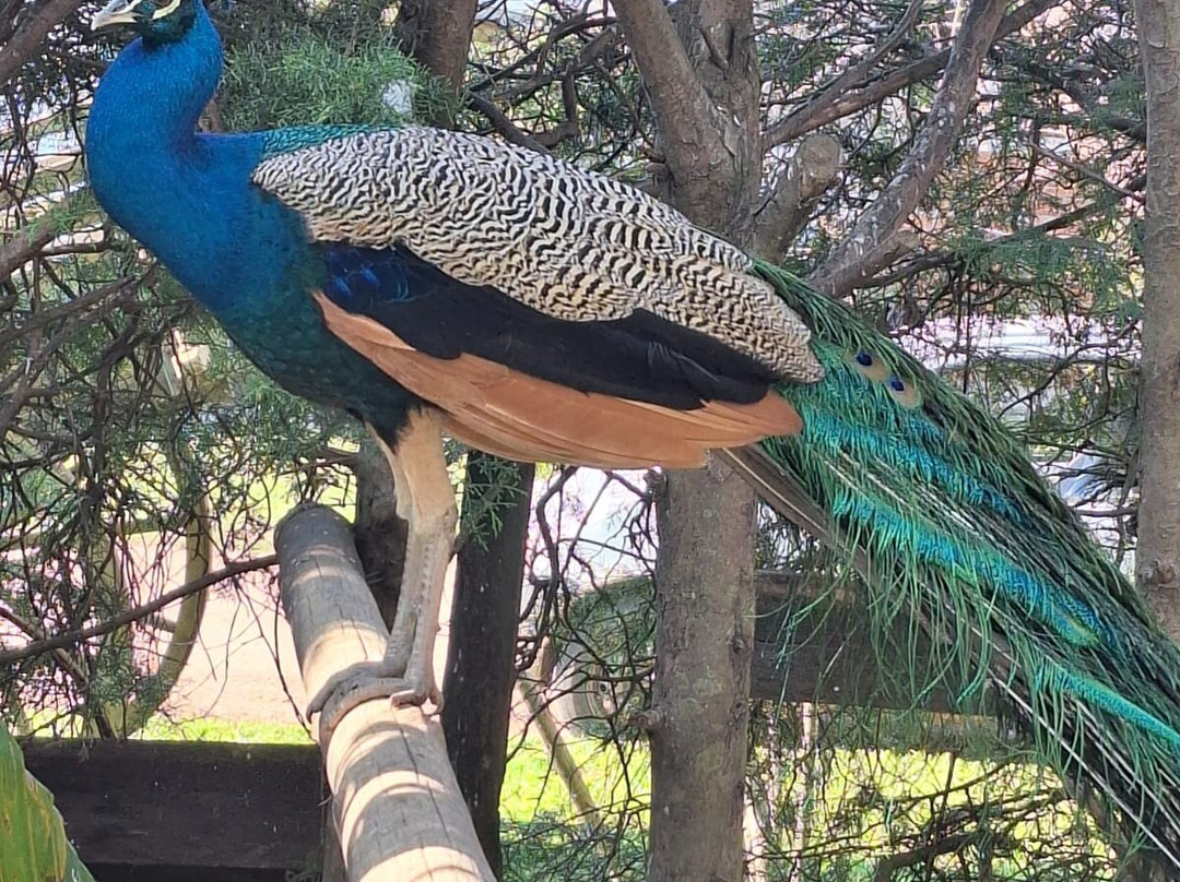 Hosteria El Abuelo主图