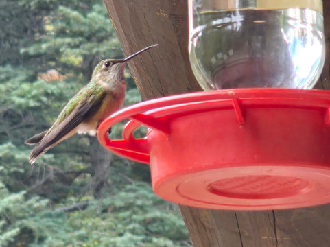 Helen Hunt Falls-科罗拉多斯普林斯必去景点