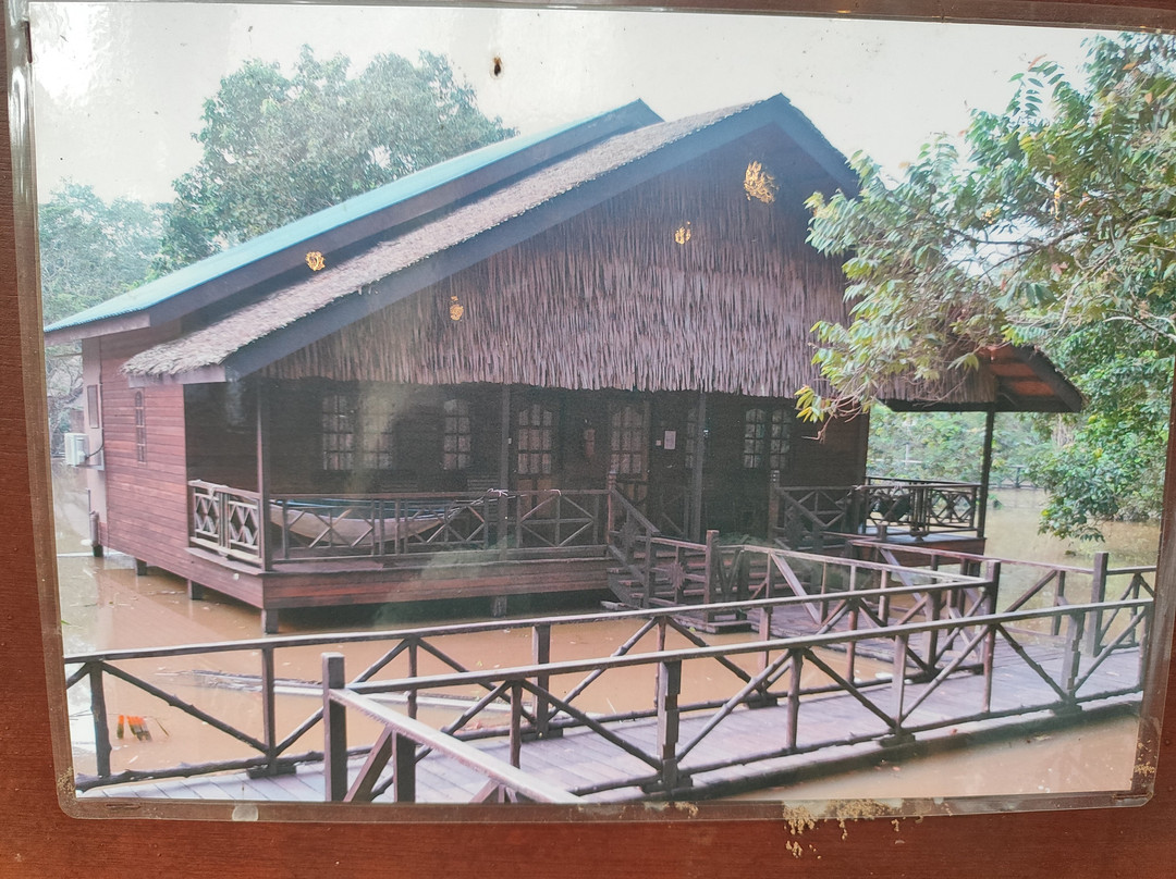 比利特雨林旅舍主图