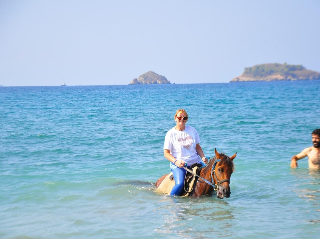 Hamish McTurk-Tours-费特希耶必去景点