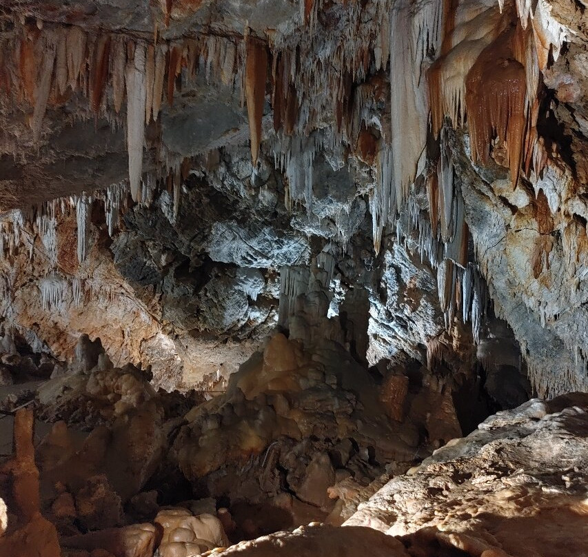 Grotte di Borgio Verezzi-Borgio Verezzi必去景点