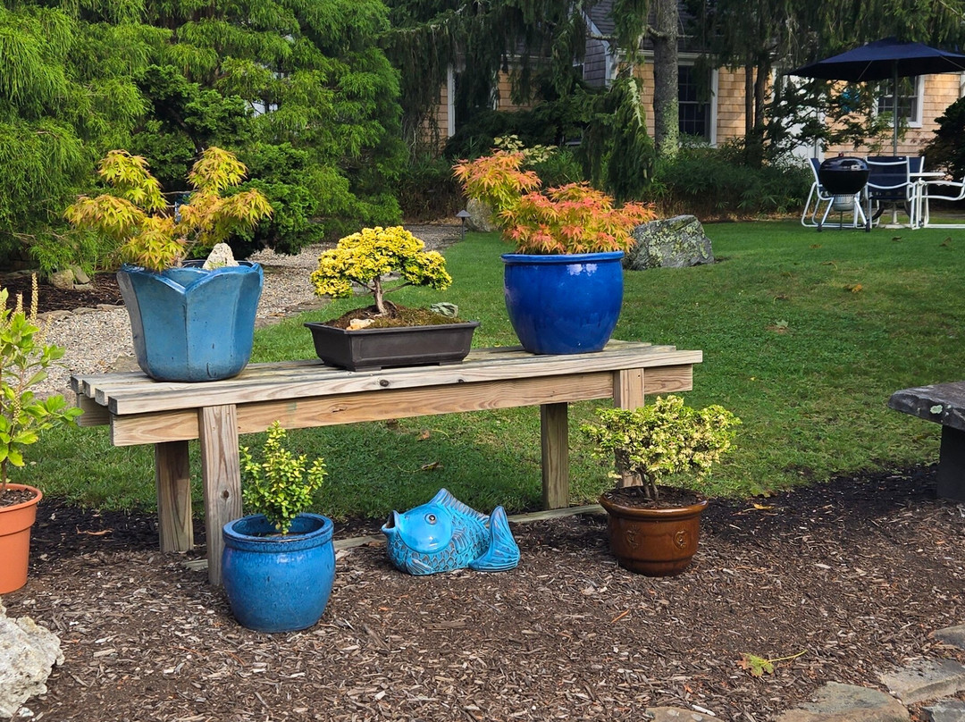 Pleasant Bay Village Resort主图