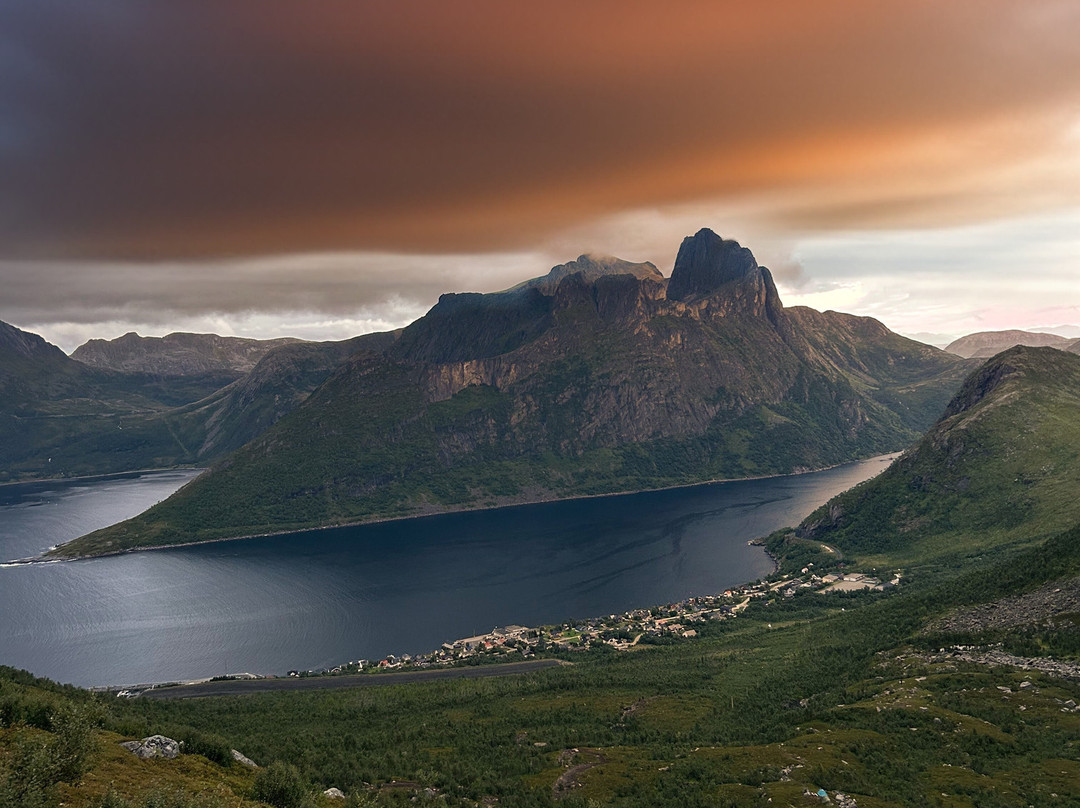 Segla Bed & Go主图