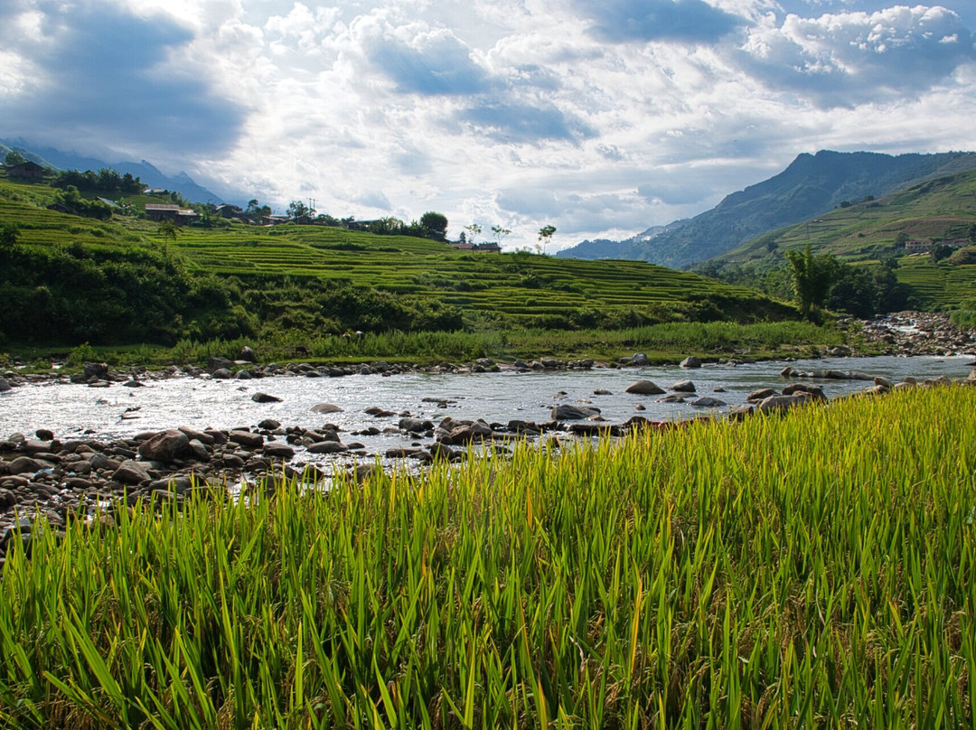 Sapa Big Tree Hmong Homestay主图