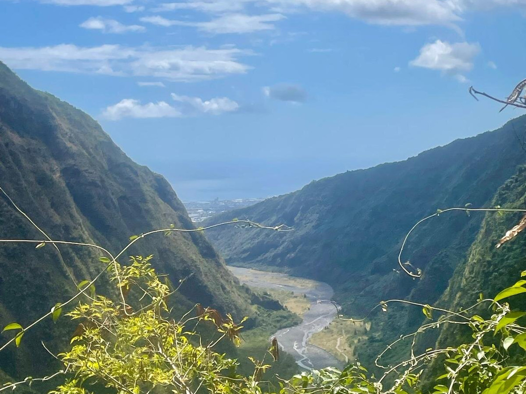 Austral Altitude-圣丹尼必去景点