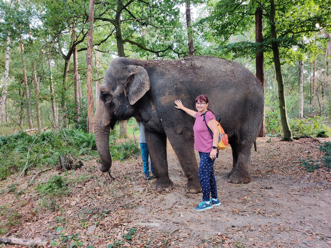 Tierpark Ströhen - Der Entdeckerzoo-Strohen必去景点