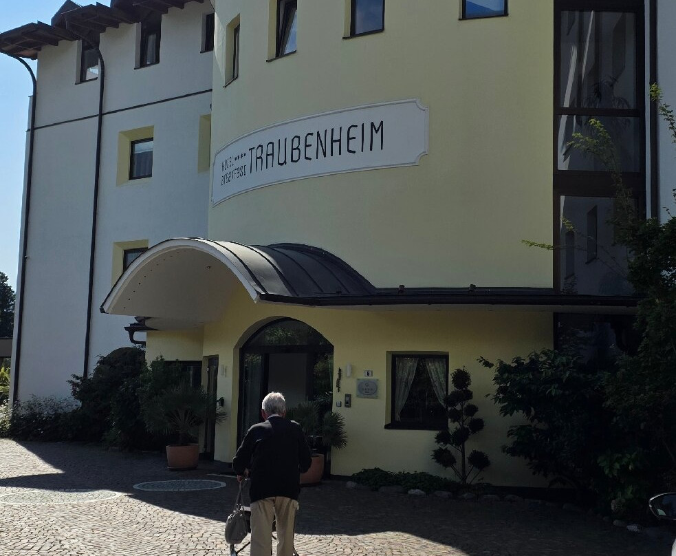 Hotel Traubenheim主图