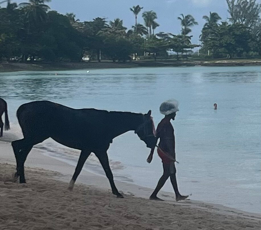 Pebbles Beach-布里奇顿必去景点