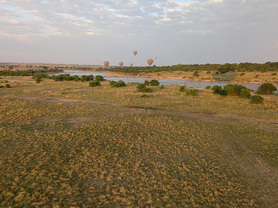 Adventures Aloft Balloon Safari Tanzania-Ikoma必去景点