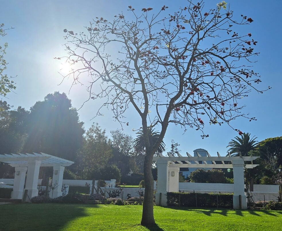 Meerendal Wine Estate-德班丘必去景点