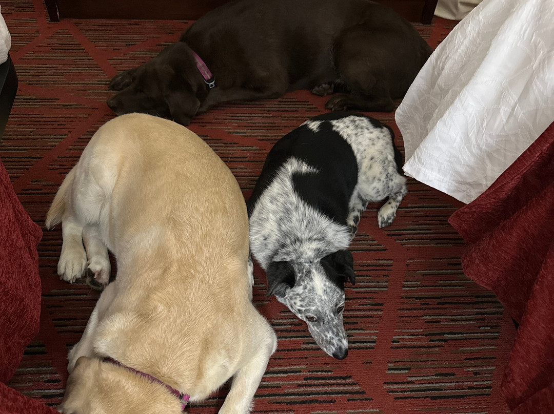 Ramada by Wyndham主图