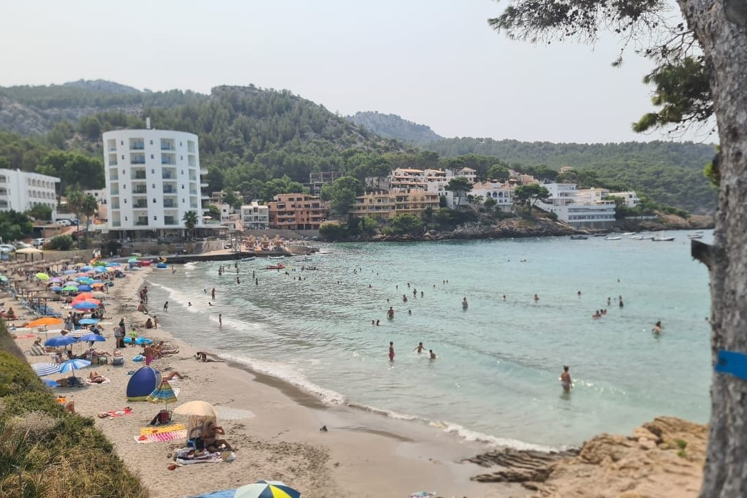 Platja De Sant Elm-Andratx必去景点