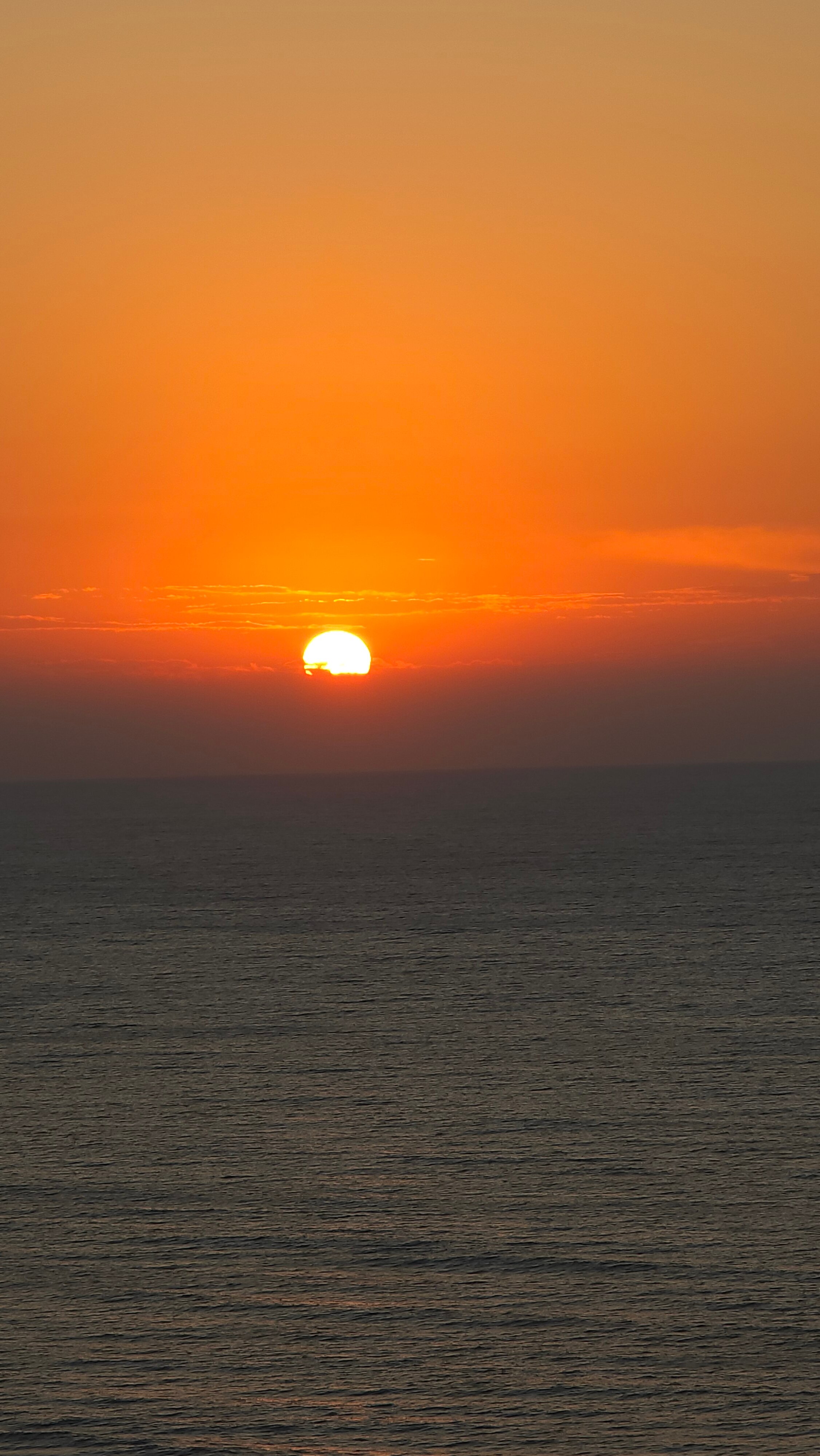 Prince Resort-酒店景观