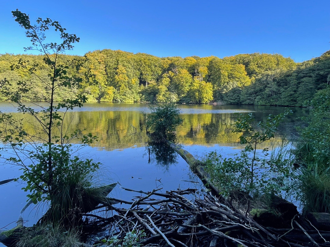 Nationalpark Jasmund-萨斯尼茨必去景点