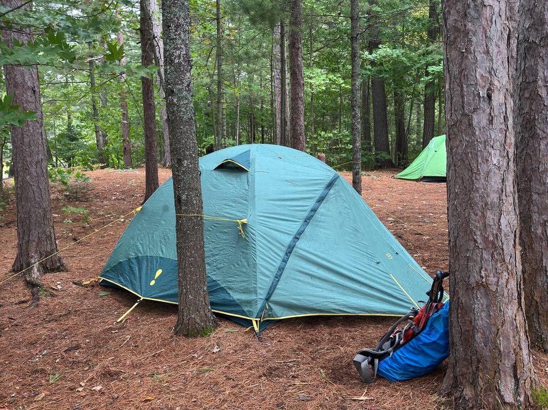 Nature & Nurture Journeys-Killarney必去景点