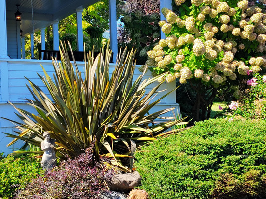 C.h. Bailey House Bed & Breakfast主图