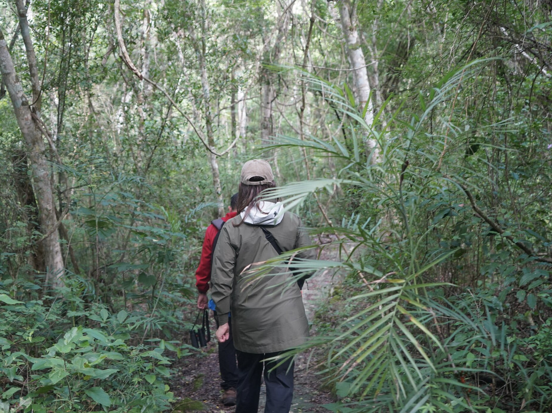 DANTA TOURS-Xpujil Town必去景点