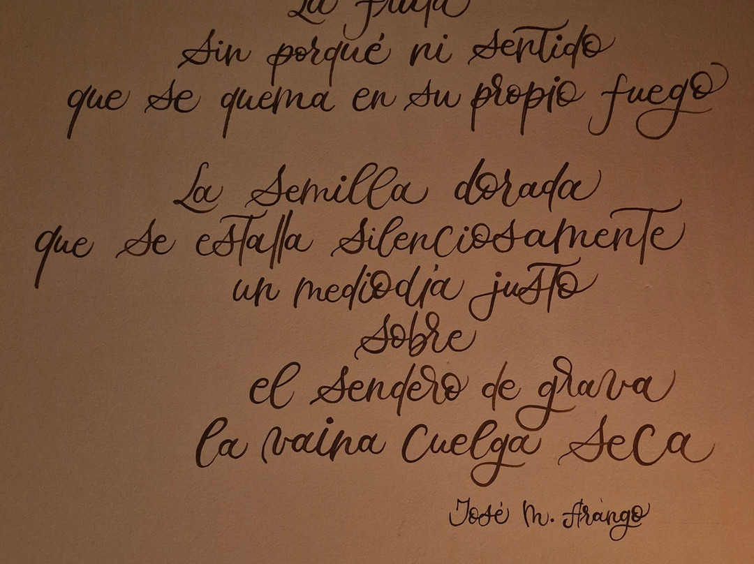 Casa Rosé Hotel主图