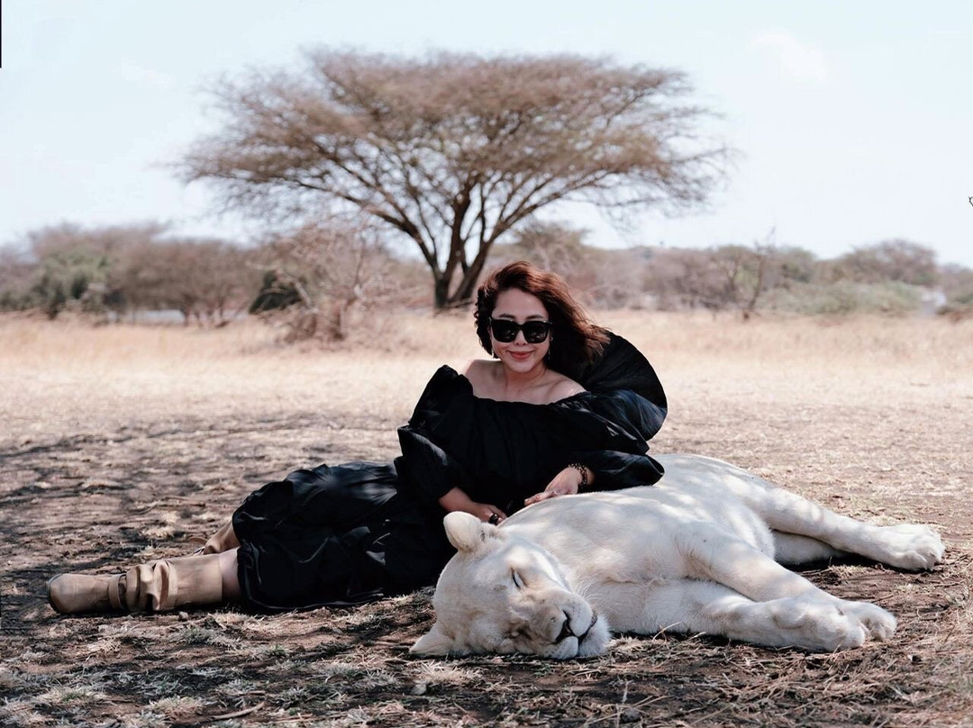 Mogli Adventure Tanzania-莫西必去景点