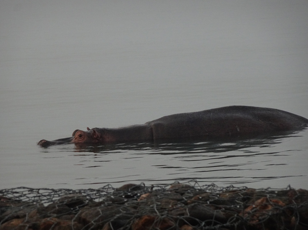 Hotel Club du Lac Tanganyika主图