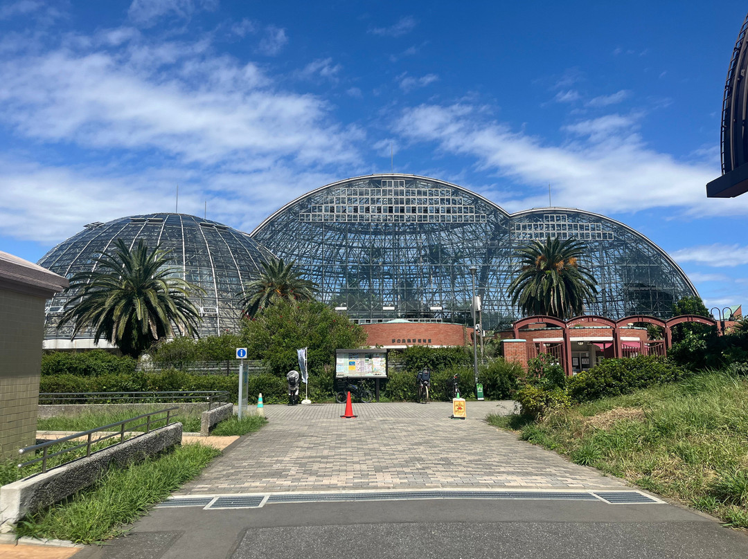 梦之岛热带植物室-江东区必去景点