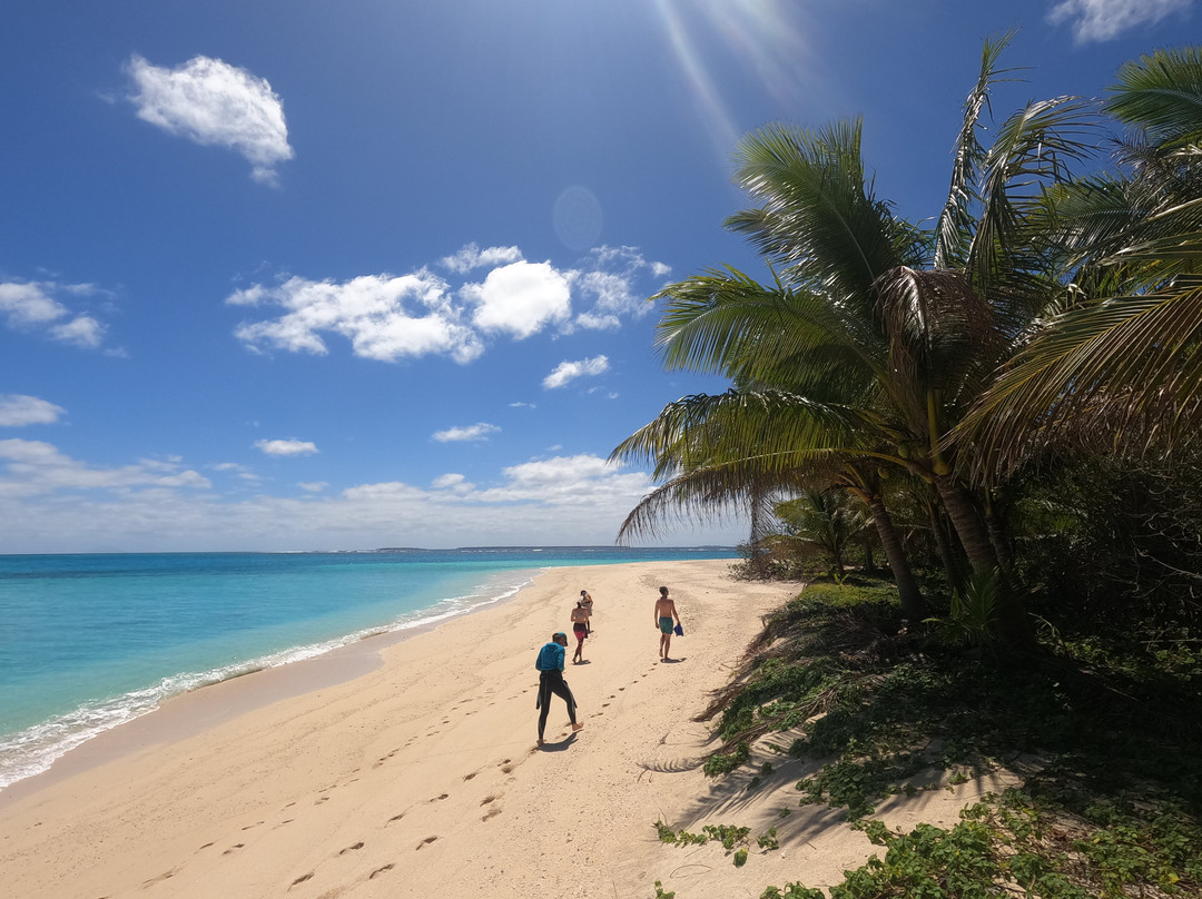 Whale Discoveries-Ha'apai Islands必去景点