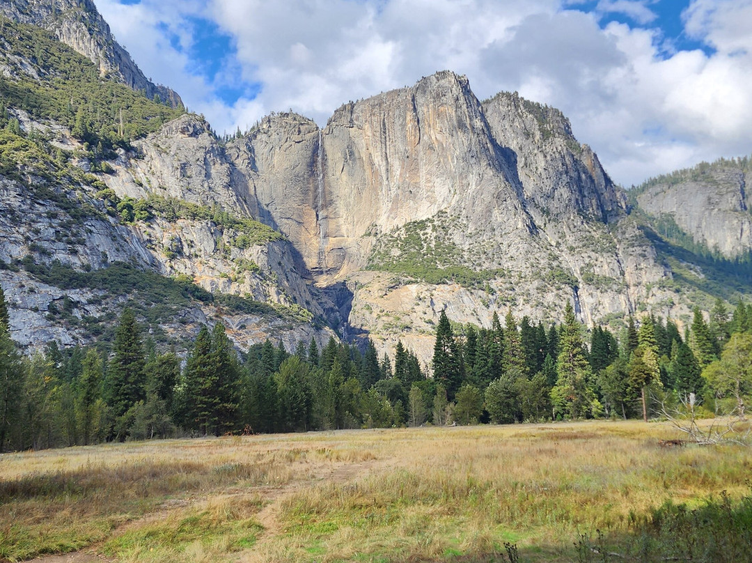 Yosemite Private Tours-Wawona必去景点