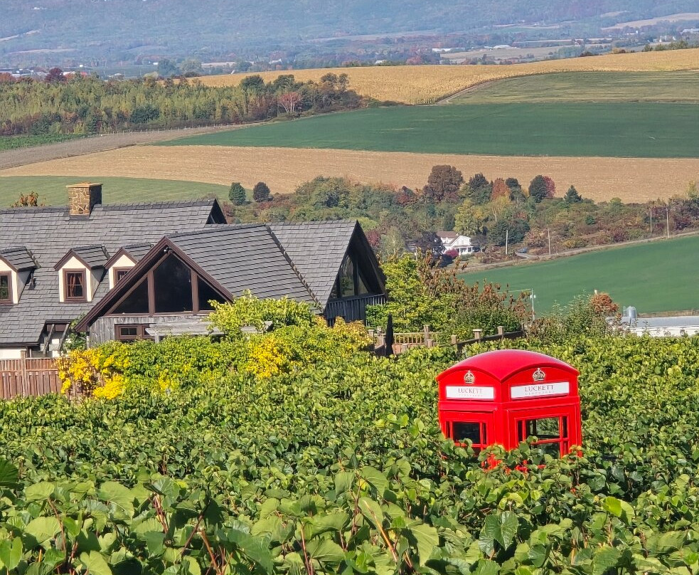 Luckett Vineyards-Wolfville必去景点