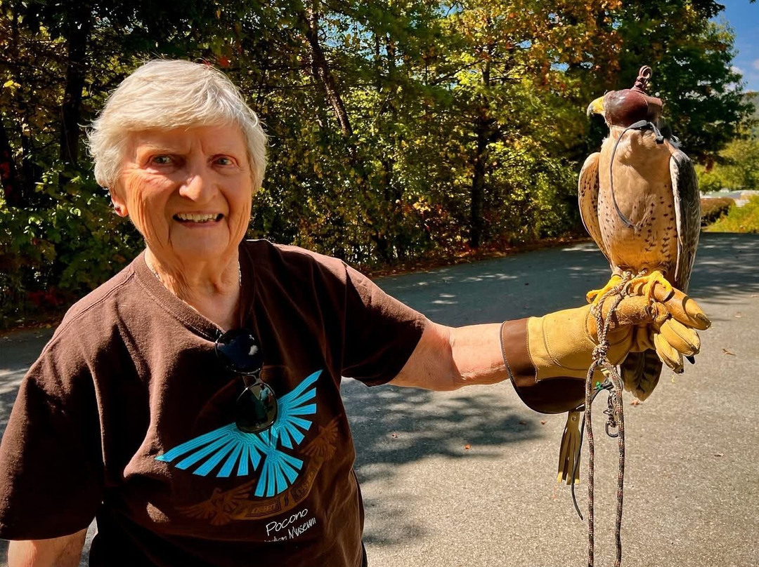 The Greenbrier Falconry-White Sulphur Springs必去景点
