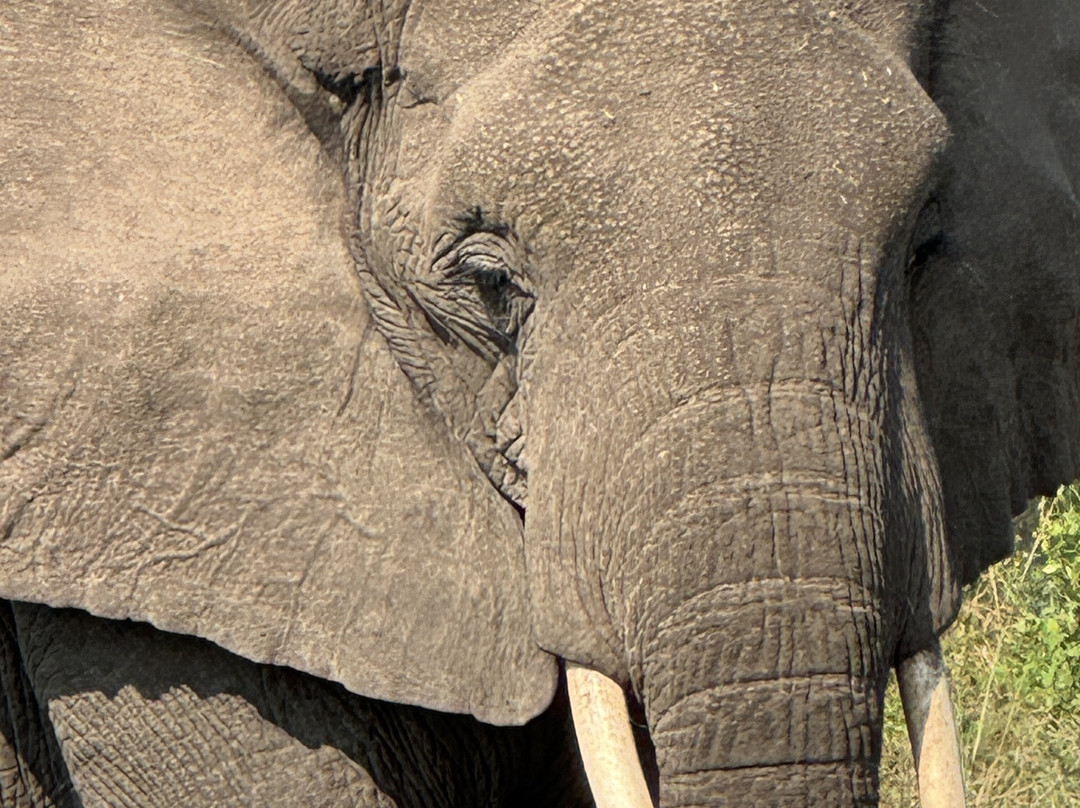 Katland Safaris-坎帕拉必去景点