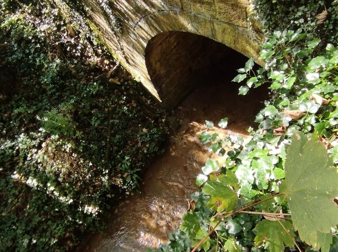 Abbaye Notre Dame de Vaux-sur-Poligny-Poligny必去景点