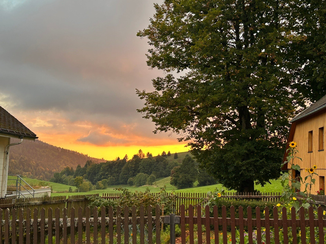 derWaldfrieden主图