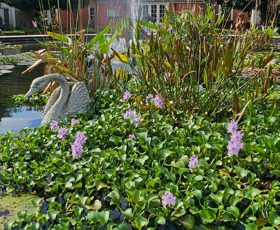 The Inn at Houmas House Estate主图