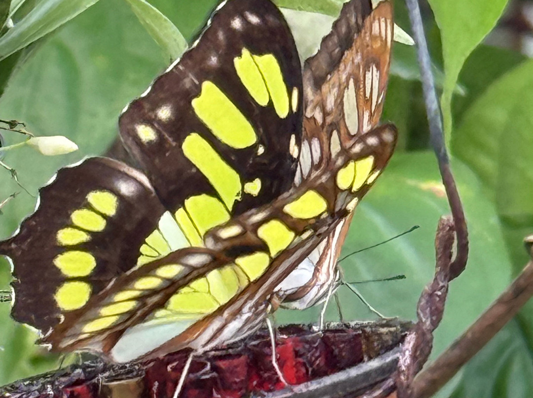 Go Highlands Tours-渥肯必去景点